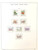 Kavel 2331 (345)
