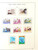 Kavel 2331 (371)