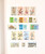 Kavel 2404 (49)