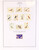 Kavel 2048 (160)