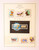 Kavel 2048 (220)