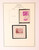 Kavel 2048 (231)