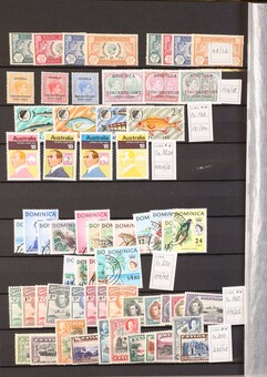 Lot 2015