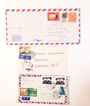 Kavel 2519