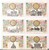 Kavel 2544 (6)