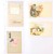 Kavel 2544 (69)