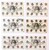 Kavel 2544 (155)
