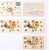 Kavel 2544 (173)