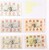 Kavel 2544 (182)