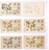 Kavel 2544 (193)