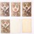Kavel 2544 (220)