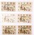 Kavel 2544 (270)