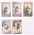 Kavel 2544 (282)