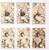 Kavel 2544 (377)