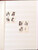 Kavel 2716 (884)