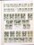 Kavel 2716 (955)