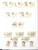 Kavel 2716 (982)