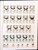 Kavel 2716 (991)