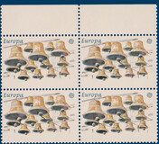 Lot 4312