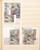 Kavel 2318 (45)