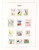 Kavel 2353 (84)