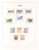 Kavel 2353 (86)