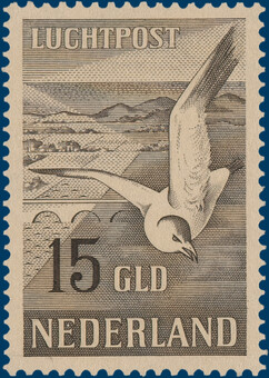 Kavel 4539