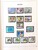 Kavel 2391 (164)