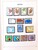 Kavel 2391 (169)