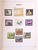 Kavel 2391 (202)