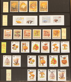 Lot 2058