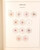 Kavel 4768 (81)