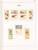 Kavel 2294 (41)