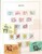 Kavel 2383 (81)