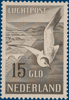 Kavel 4538