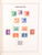 Lot 4785 (17)