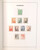 Lot 2324 (21)