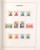 Lot 2324 (29)
