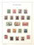Kavel 2227 (3)