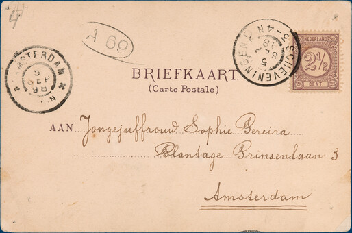 Lot 3907