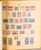 Kavel 2007 (489)