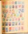 Kavel 2007 (501)