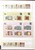 Kavel 2042 (51)