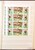 Kavel 2042 (71)