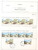 Kavel 2377 (4)