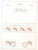Kavel 2377 (41)