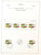 Kavel 2377 (64)