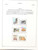 Kavel 2377 (132)