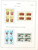 Kavel 2377 (270)