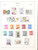Kavel 2195 (81)